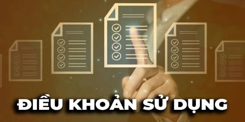 Điều khoản sử dụng và các lưu ý