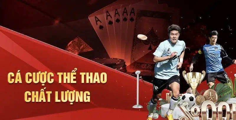 thể thao 789win